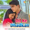 About Dil Ke Dhadkan Song